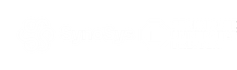 CSS-Synosys