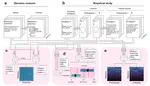 Preprint on decision-making and large language models