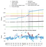 Do Alice Weidel and the AfD benefit from Musk's attention on X?