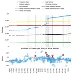 Do Alice Weidel and the AfD benefit from Musk's attention on X?